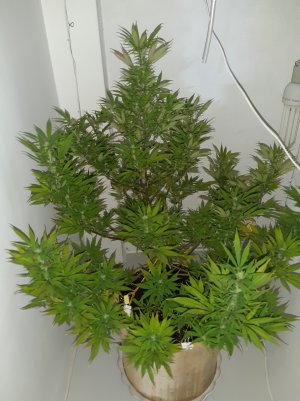 20220309_104711.jpg