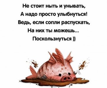 IMG_9023.jpeg