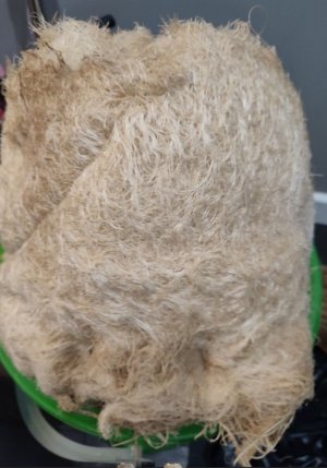 thething1.jpg