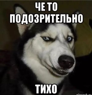 IMG_9045.jpeg