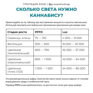 1000008225.jpg