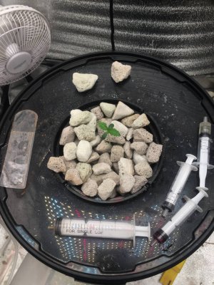 IMG_20240620_134240_728.jpg