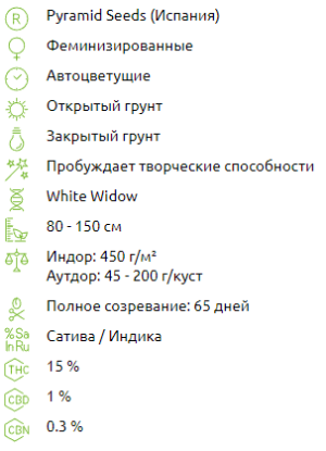 cleaned_1718266789485.png