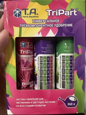 IMG_5602.jpeg