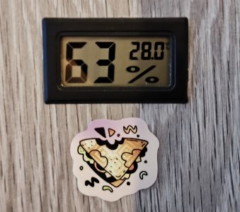 1000047144.jpg