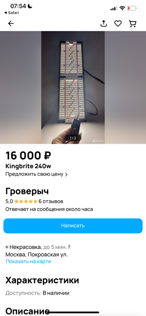 IMG_6516.png