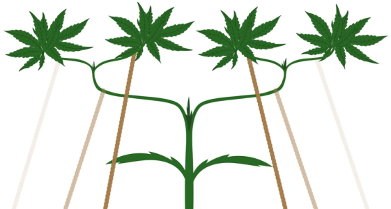 3.png 3.png