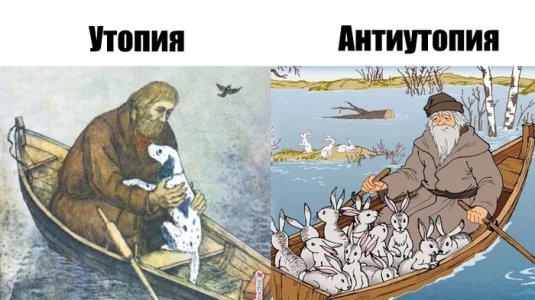 1706701186177118127.jpg