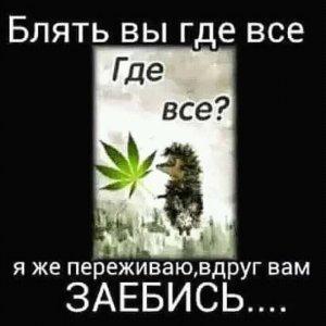 d2eae73a398169de7c3b469333300464.jpg
