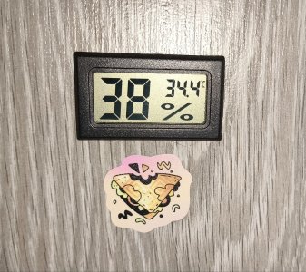 5438258127175803467.jpg