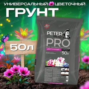 грунт.jpg