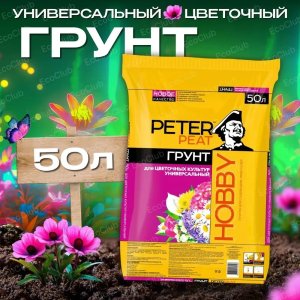 грунт.2.jpg