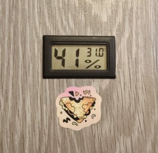5204219320492747311.jpg