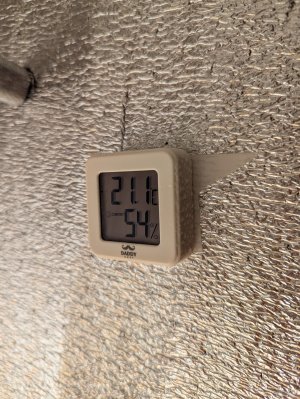 1000008961.jpg