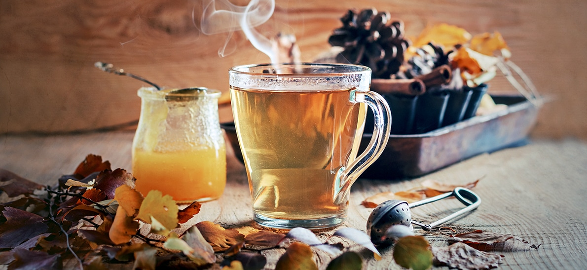 medvoblago.ru