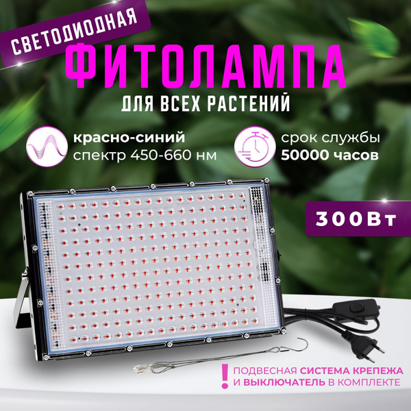 ozon.ru